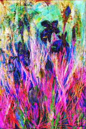 Iris 10